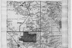 forest-special-report-and-photos-001-23-scaled