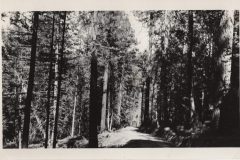 group-tour-1908-001-scaled-e1612827959625