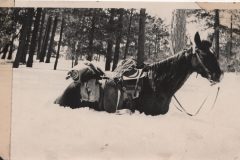 group-tour-1908-006-scaled-e1612828225447