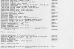 butterfly-area-001-2-scaled